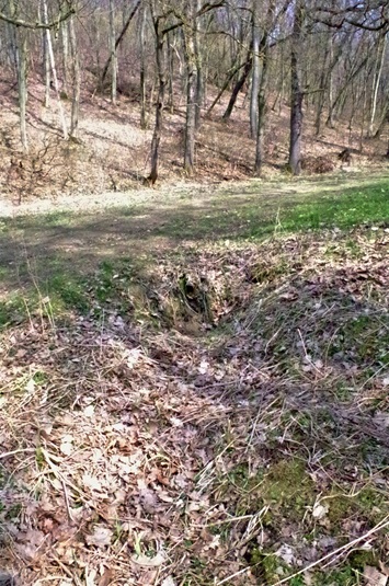Studánka ve Slavičím údolí Studánka ve Slavičím údolí