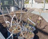 Sázení keřů kolem fotbalového hřiště, 28.4.2022