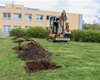 Do začátku května bude vysázeno 85 vzrostlých stromů a 147 keřů, 22.4.2022