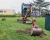 Do začátku května bude vysázeno 85 vzrostlých stromů a 147 keřů, 22.4.2022