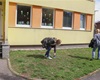 Zaměřování umístění nových stromů, které se budou sadit od 19. dubna 2022