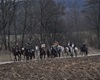 Horymír 2015, zdroj: www.jezdectvo.cz