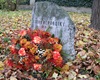Den boje za svobodu a demokracii, 16.11.2022
