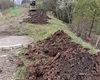 Do začátku května bude vysázeno 85 vzrostlých stromů a 147 keřů, 22.4.2022