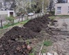 Do začátku května bude vysázeno 85 vzrostlých stromů a 147 keřů, 22.4.2022