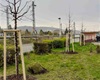 Do začátku května bude vysázeno 85 vzrostlých stromů a 147 keřů, 22.4.2022