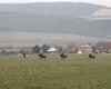 Vzhůru do Neumětel, 28.2.2015