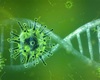 Koronavirus. Pixabay.com