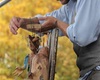 Havelské posvícení, Víťa Marčík jr.: Eliščiny pohádky, 12.10.2013