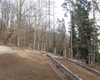 Urnový háj, 15.2.2022